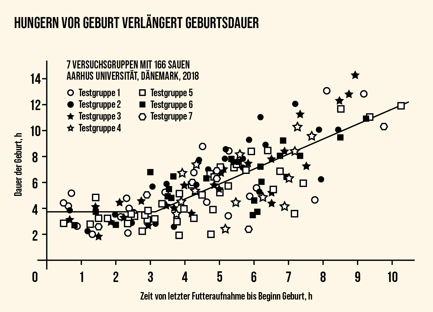 Bilder Web 1080x1920 Praxisbericht Grafik